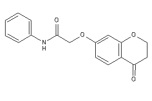 2-(4-ketochroman-7-yl)oxy-N-phenyl-acetamide