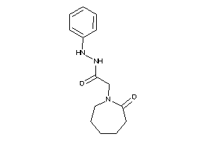 2-(2-ketoazepan-1-yl)-N'-phenyl-acetohydrazide