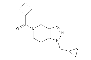 Image of Cyclobutyl-[1-(cyclopropylmethyl)-6,7-dihydro-4H-pyrazolo[4,3-c]pyridin-5-yl]methanone