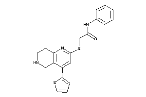 N-phenyl-2-[[4-(2-thienyl)-5,6,7,8-tetrahydro-1,6-naphthyridin-2-yl]thio]acetamide