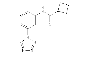 N-[3-(tetrazol-1-yl)phenyl]cyclobutanecarboxamide