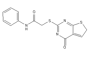 2-[(4-keto-6H-thieno[2,3-d]pyrimidin-2-yl)thio]-N-phenyl-acetamide