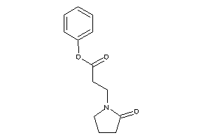 3-(2-ketopyrrolidino)propionic Acid Phenyl Ester