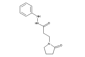 3-(2-ketopyrrolidino)-N'-phenyl-propionohydrazide