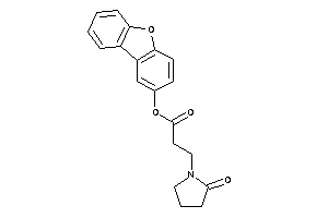 3-(2-ketopyrrolidino)propionic Acid Dibenzofuran-2-yl Ester