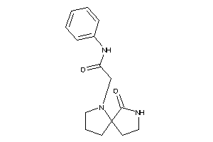 2-(6-keto-4,7-diazaspiro[4.4]nonan-4-yl)-N-phenyl-acetamide