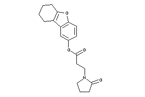 3-(2-ketopyrrolidino)propionic Acid 6,7,8,9-tetrahydrodibenzofuran-2-yl Ester