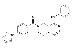 (4-anilino-7,8-dihydro-5H-pyrido[4,3-d]pyrimidin-6-yl)-(6-pyrazol-1-yl-3-pyridyl)methanone