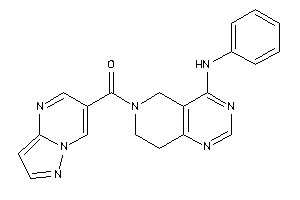 (4-anilino-7,8-dihydro-5H-pyrido[4,3-d]pyrimidin-6-yl)-pyrazolo[1,5-a]pyrimidin-6-yl-methanone