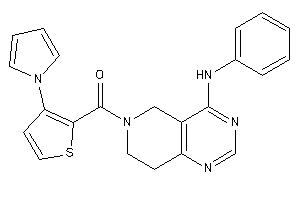 (4-anilino-7,8-dihydro-5H-pyrido[4,3-d]pyrimidin-6-yl)-(3-pyrrol-1-yl-2-thienyl)methanone