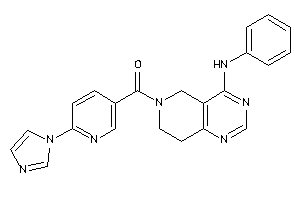 (4-anilino-7,8-dihydro-5H-pyrido[4,3-d]pyrimidin-6-yl)-(6-imidazol-1-yl-3-pyridyl)methanone