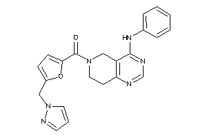 (4-anilino-7,8-dihydro-5H-pyrido[4,3-d]pyrimidin-6-yl)-[5-(pyrazol-1-ylmethyl)-2-furyl]methanone