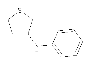 Image of Phenyl(tetrahydrothiophen-3-yl)amine