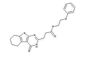 3-(4-keto-5,6,7,8-tetrahydro-3H-benzothiopheno[2,3-d]pyrimidin-2-yl)propionic Acid 2-phenoxyethyl Ester