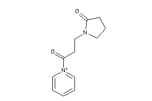 1-(3-keto-3-pyridin-1-ium-1-yl-propyl)-2-pyrrolidone