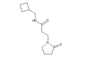 N-(cyclobutylmethyl)-3-(2-ketopyrrolidino)propionamide