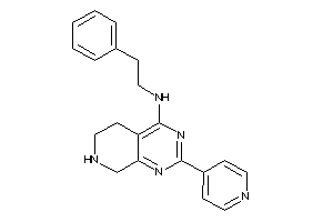 Phenethyl-[2-(4-pyridyl)-5,6,7,8-tetrahydropyrido[3,4-d]pyrimidin-4-yl]amine