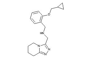 [2-(cyclopropylmethoxy)benzyl]-(5,6,7,8-tetrahydro-[1,2,4]triazolo[4,3-a]pyridin-3-ylmethyl)amine