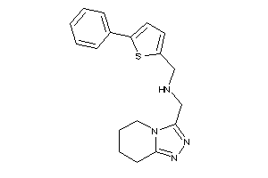 (5-phenyl-2-thienyl)methyl-(5,6,7,8-tetrahydro-[1,2,4]triazolo[4,3-a]pyridin-3-ylmethyl)amine