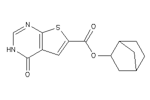 4-keto-3H-thieno[2,3-d]pyrimidine-6-carboxylic Acid 2-norbornyl Ester