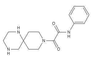 2-keto-N-phenyl-2-(3,7,10-triazaspiro[5.5]undecan-3-yl)acetamide
