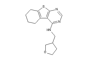 5,6,7,8-tetrahydrobenzothiopheno[2,3-d]pyrimidin-4-yl(tetrahydrofuran-3-ylmethyl)amine