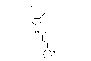 N-(4,5,6,7,8,9-hexahydrocycloocta[b]thiophen-2-yl)-3-(2-ketopyrrolidino)propionamide