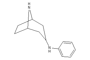 8-azabicyclo[3.2.1]octan-3-yl(phenyl)amine