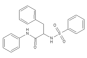 2-(benzenesulfonamido)-N,3-diphenyl-propionamide