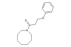 1-(azocan-1-yl)-3-phenoxy-propan-1-one