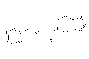 Nicotin [2-(6,7-dihydro-4H-thieno[3,2-c]pyridin-5-yl)-2-keto-ethyl] Ester