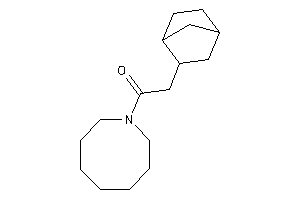 1-(azocan-1-yl)-2-(2-norbornyl)ethanone