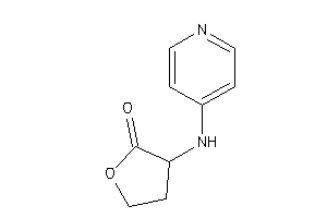 3-(4-pyridylamino)tetrahydrofuran-2-one