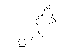 3-(2-thienyl)-1-BLAHyl-propan-1-one