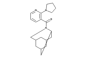 (2-pyrrolidino-3-pyridyl)-BLAHyl-methanone