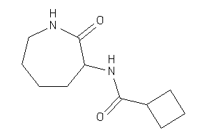Image of N-(2-ketoazepan-3-yl)cyclobutanecarboxamide