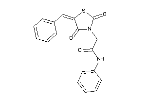 2-(5-benzal-2,4-diketo-thiazolidin-3-yl)-N-phenyl-acetamide