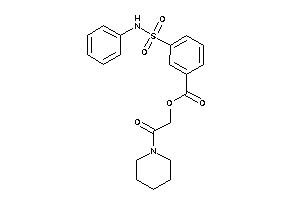 3-(phenylsulfamoyl)benzoic Acid (2-keto-2-piperidino-ethyl) Ester