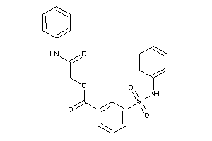 3-(phenylsulfamoyl)benzoic Acid (2-anilino-2-keto-ethyl) Ester