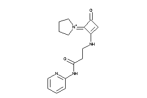 3-[(3-keto-4-pyrrolidin-1-ium-1-ylidene-cyclobuten-1-yl)amino]-N-(2-pyridyl)propionamide