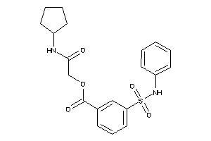 3-(phenylsulfamoyl)benzoic Acid [2-(cyclopentylamino)-2-keto-ethyl] Ester