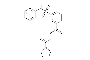 3-(phenylsulfamoyl)benzoic Acid (2-keto-2-pyrrolidino-ethyl) Ester