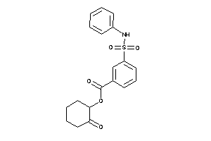3-(phenylsulfamoyl)benzoic Acid (2-ketocyclohexyl) Ester