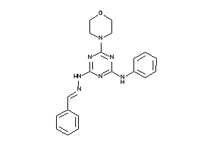 (4-anilino-6-morpholino-s-triazin-2-yl)-(benzalamino)amine