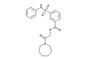 3-(phenylsulfamoyl)benzoic Acid [2-(azepan-1-yl)-2-keto-ethyl] Ester