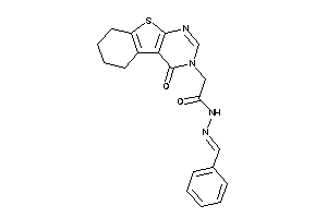 N-(benzalamino)-2-(4-keto-5,6,7,8-tetrahydrobenzothiopheno[2,3-d]pyrimidin-3-yl)acetamide