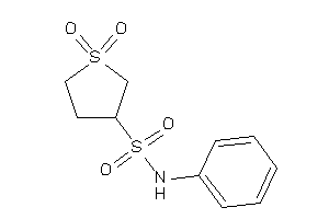 1,1-diketo-N-phenyl-thiolane-3-sulfonamide