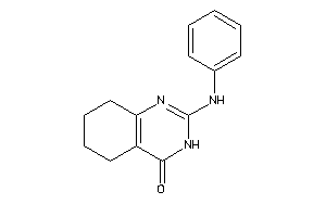 2-anilino-5,6,7,8-tetrahydro-3H-quinazolin-4-one