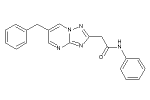 2-(6-benzyl-[1,2,4]triazolo[1,5-a]pyrimidin-2-yl)-N-phenyl-acetamide