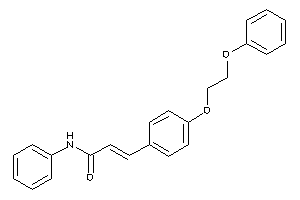 3-[4-(2-phenoxyethoxy)phenyl]-N-phenyl-acrylamide